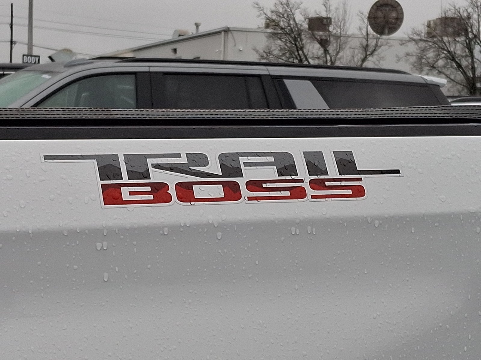 2020 Chevrolet Silverado 1500 LT Trail Boss